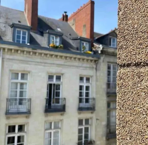 Guepin : Hyper Centre Au Pied Du Tram *